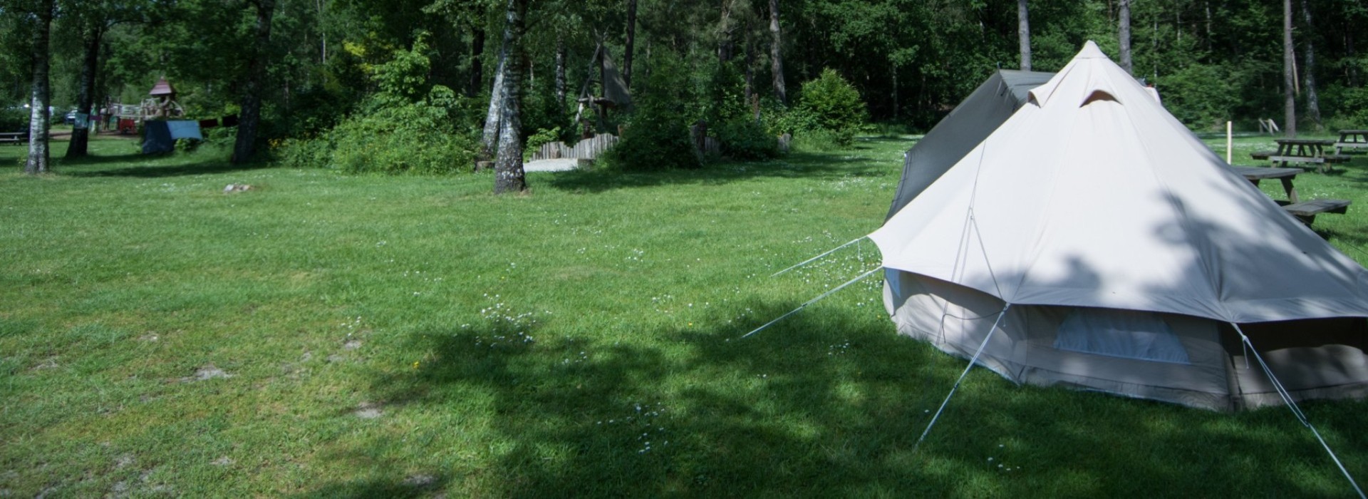 natuurkampeerveld-tent-bosrand-camping-de-berken-drenthe.jpg
