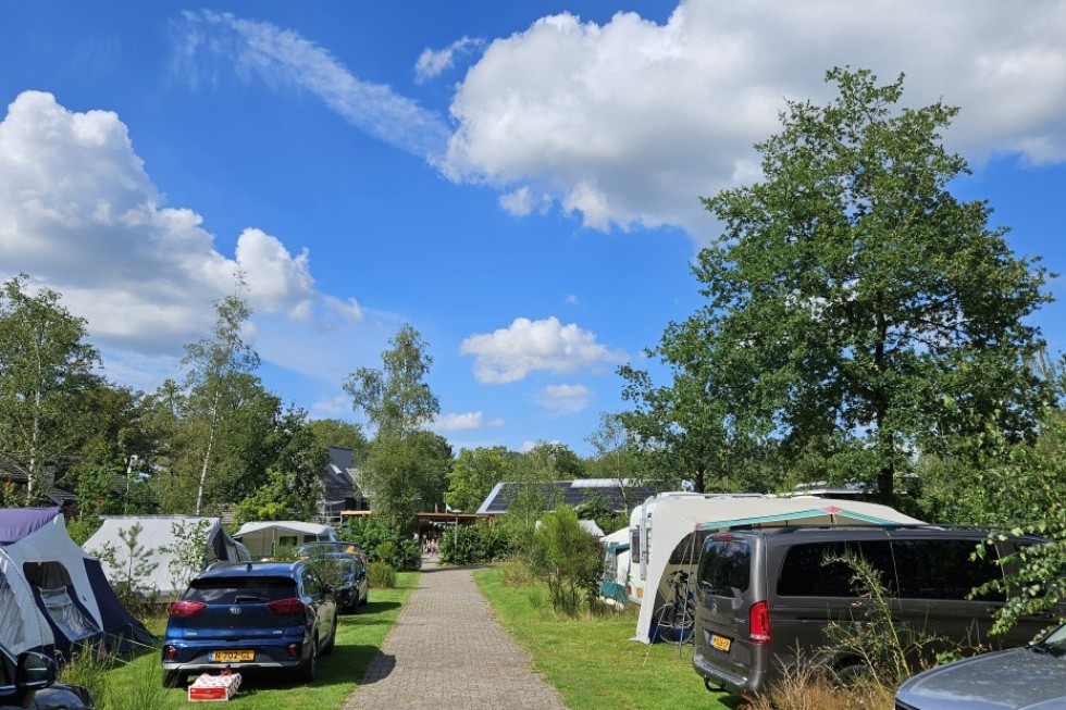 kampeerplaatsen-anloo-gezellige-veldjes-camping-de-berken.jpg