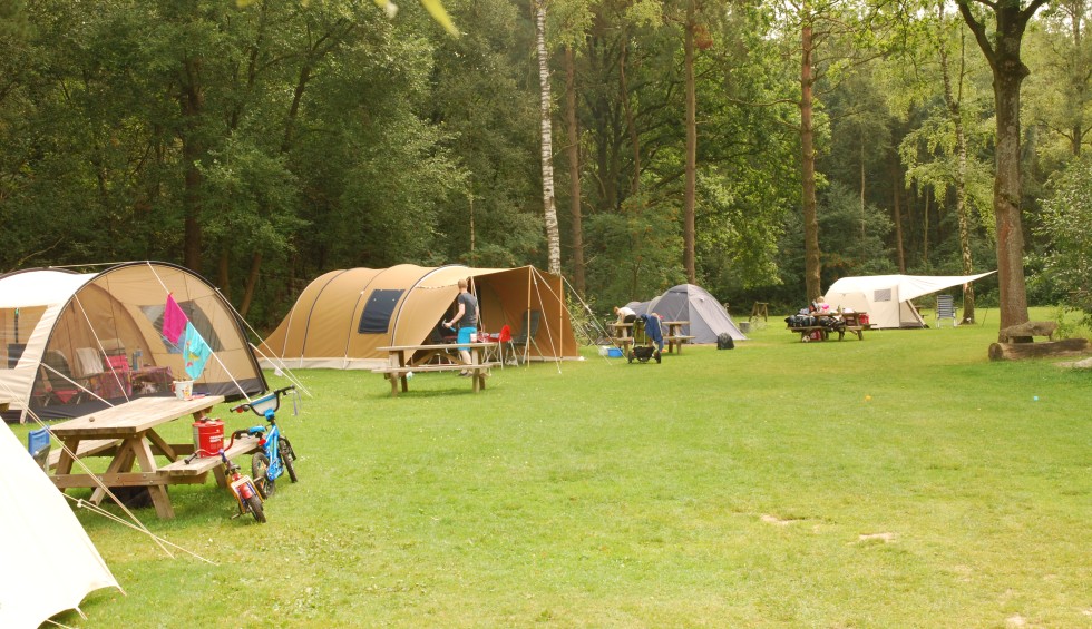 Tentenveld camping de berken.JPG