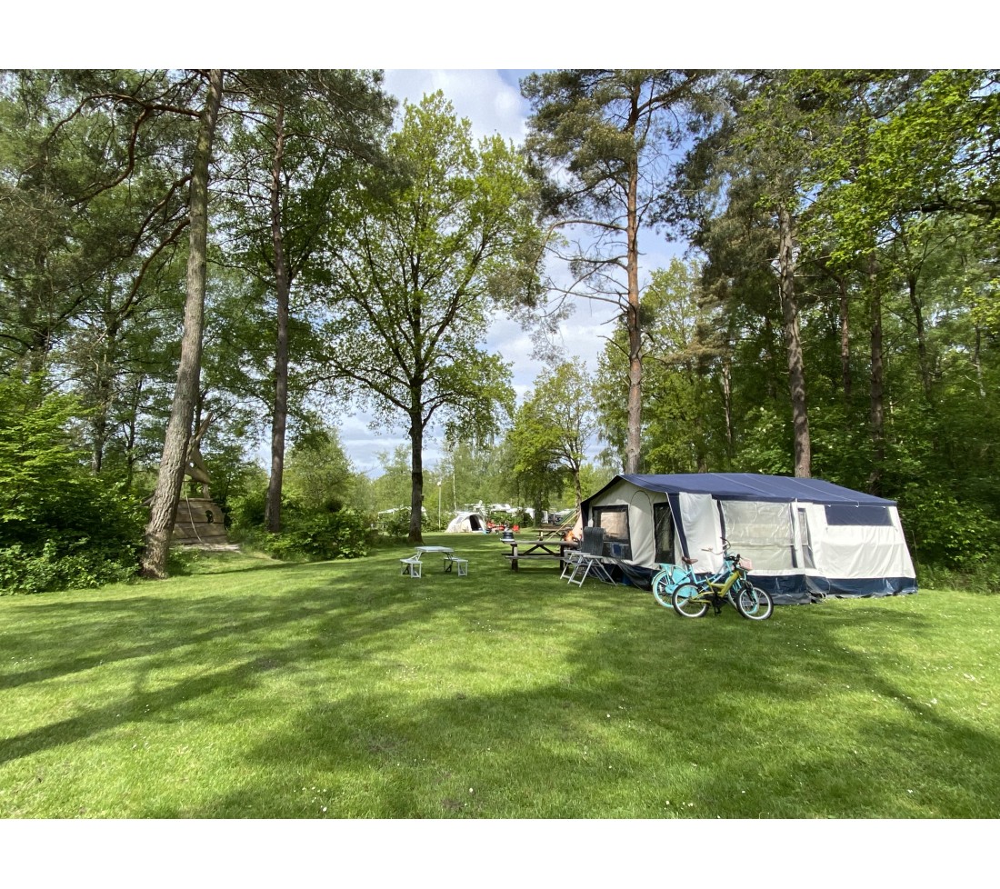 Last minute kamperen in Drenthe op Camping de Berken.jpeg