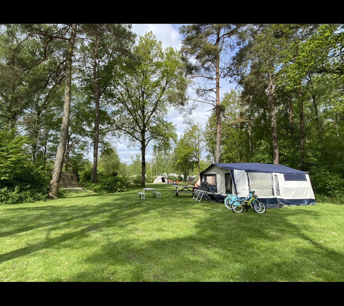 Last minute kamperen in Drenthe op Camping de Berken.jpeg