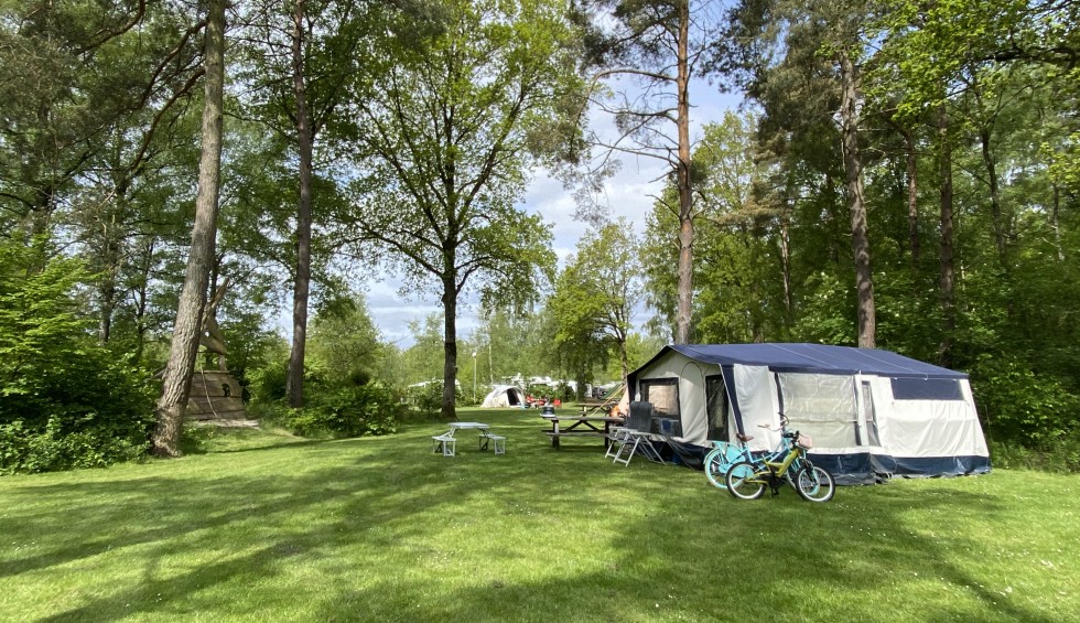 Last minute kamperen in Drenthe op Camping de Berken.jpeg