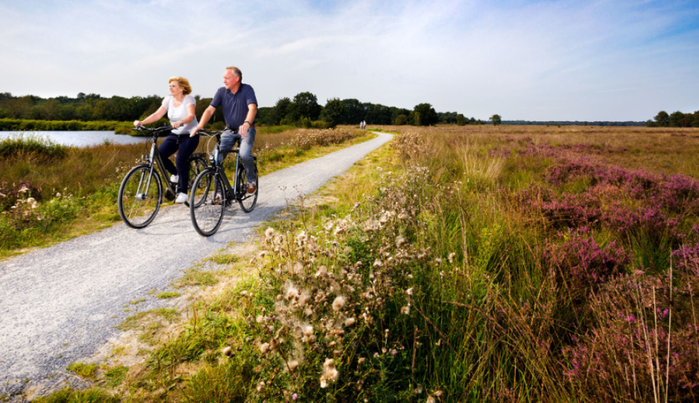 fietsen-wandelen-rustige-camping-drenthe.jpg