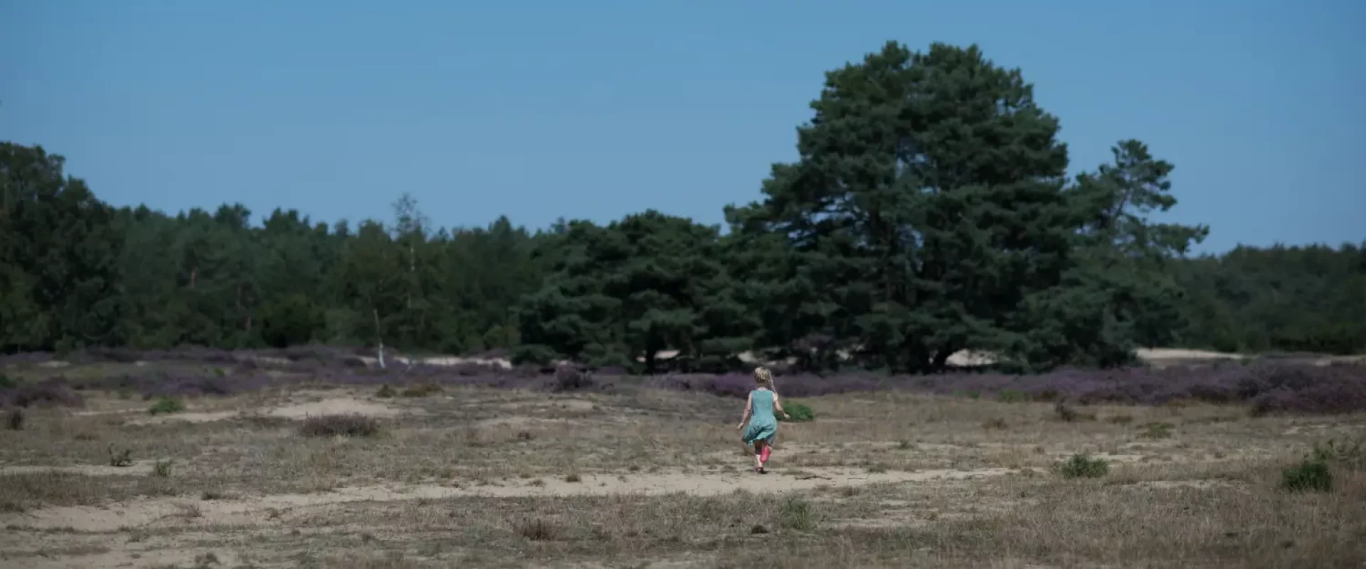 Camping bij het Drouwenerzand in Drenthe