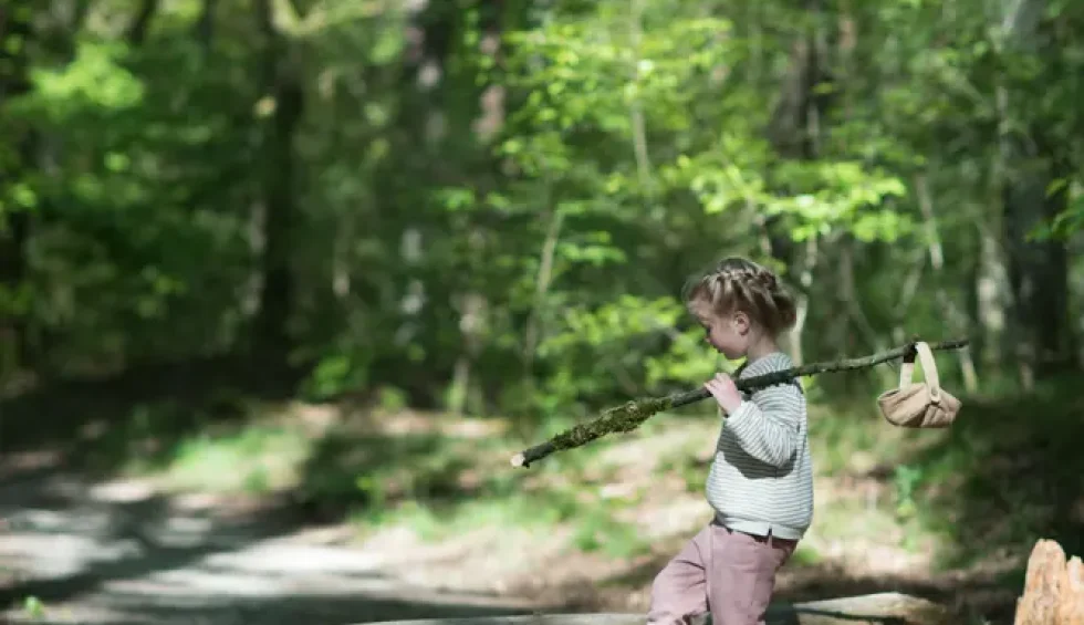 Bos achter de camping in Drenthe