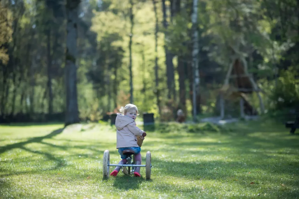 Kindercamping in de natuur van Drenthe