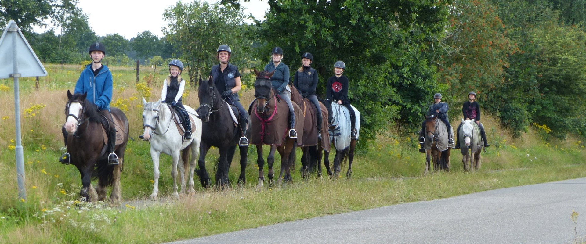 Paardrijden in gasselte.jpg