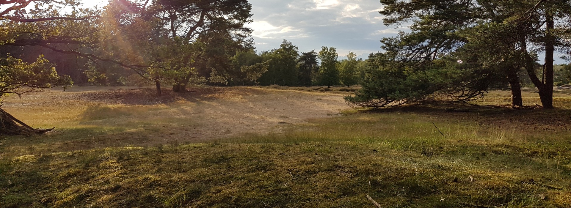 Camping bij het drouwenerzand.jpg