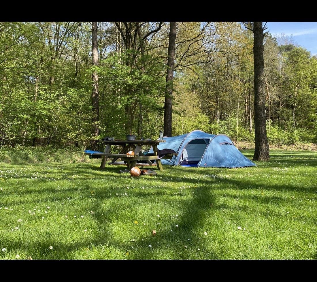 tentenveld camping de berken.jpeg