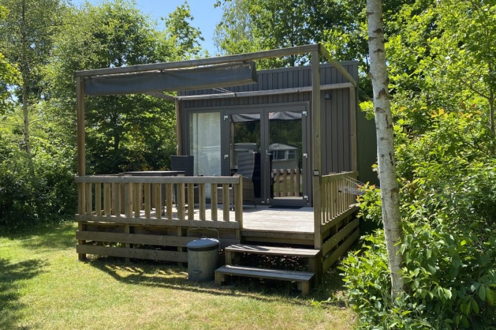vakantiewoning-assen-chalet-bos.jpg