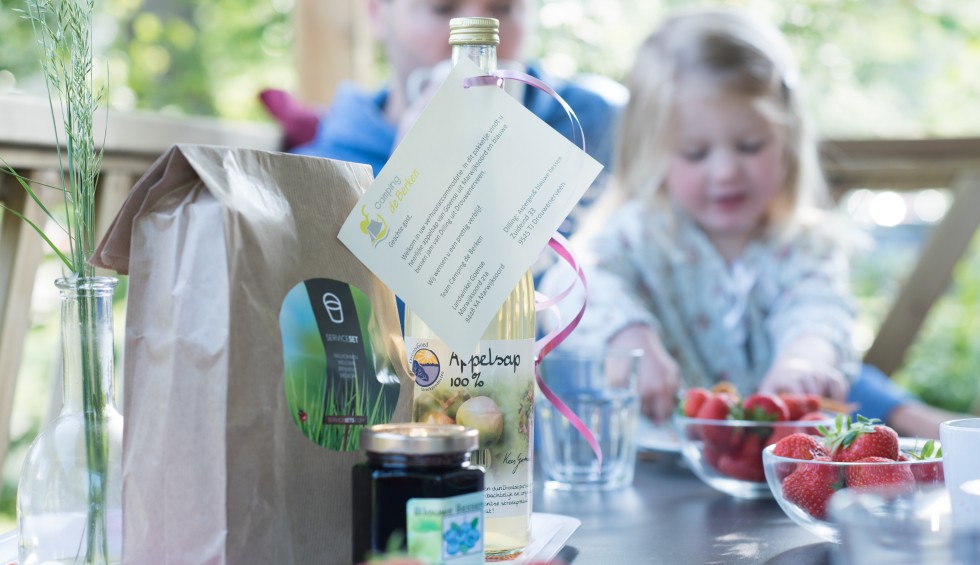 Chalet met frontkamer in Drenthe