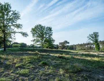Gasselterheide