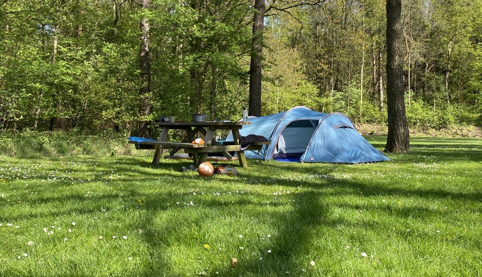 camping-eext-tentplaats-bos.jpg