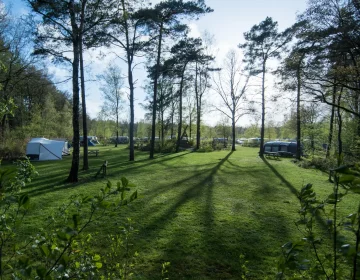 Tentenveld