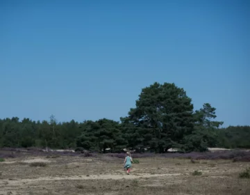 Camping bij het Drouwenerzand in Drenthe