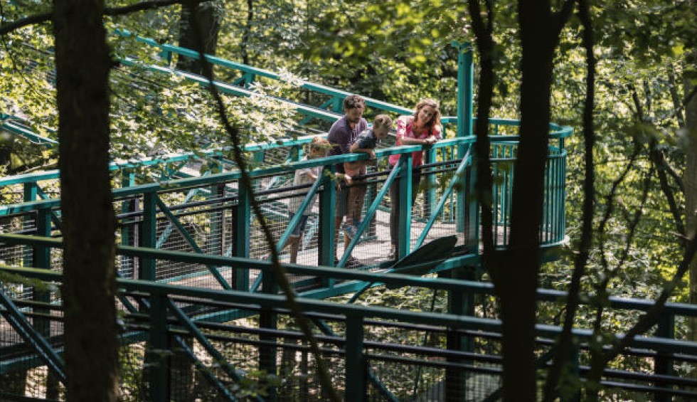 Boomkroonpad Drouwen