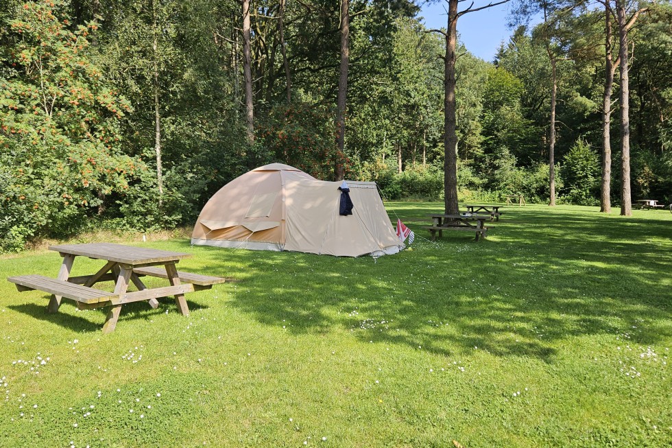 Tentplaats met picknickbank.jpg