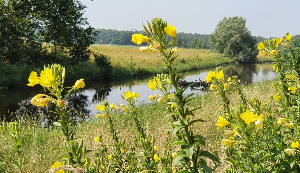 Ontdek de omgeving van Assen vanuit een natuurhuisje.jpg
