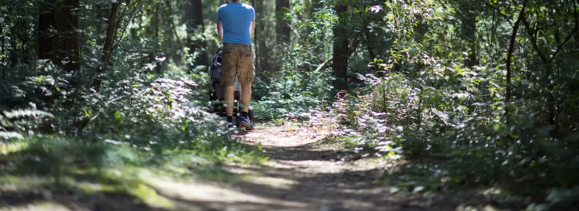 Kindercamping bij het bos in Drenthe