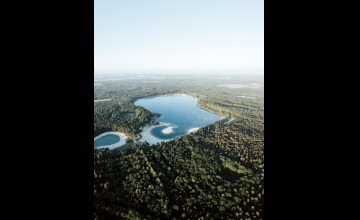 Gasselterveld en nije hemelriekje