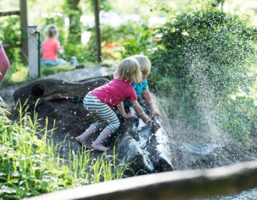 Natuurlijke speelplaats tentenveld.jpg