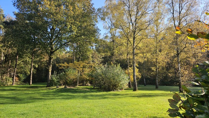 sfeerinpressie oktober camping de Berken