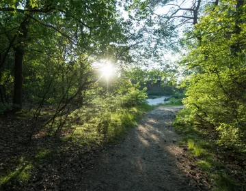 Zandkuil achter de camping