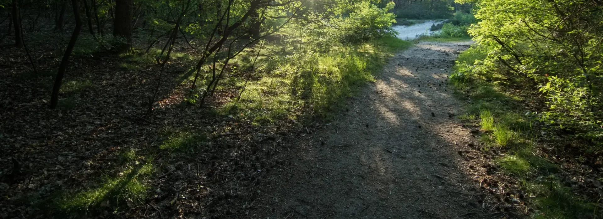 Zandkuil achter de camping