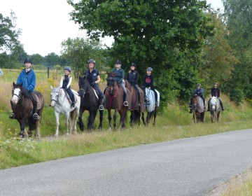 Paardrijden in gasselte.jpg