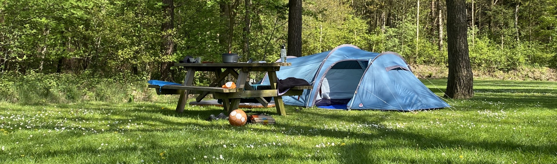 tentenveld camping de berken.jpeg