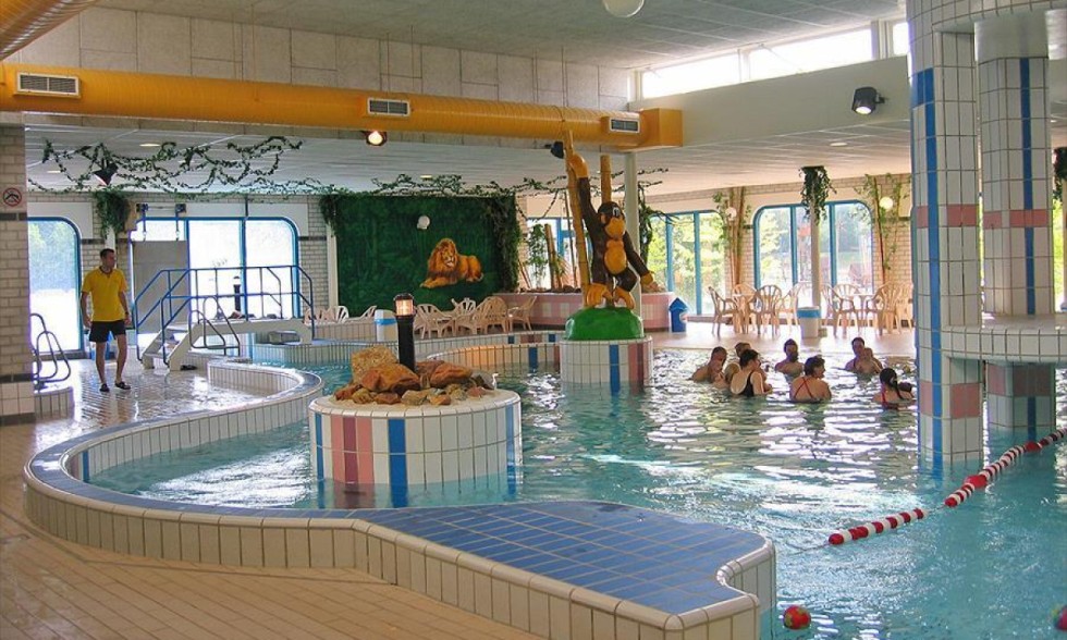 Zwembad hunzedal borger binnen.jpeg