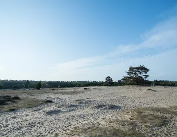 Drouwenerzand