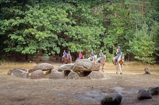 Hunebed highway drenthe.jpg