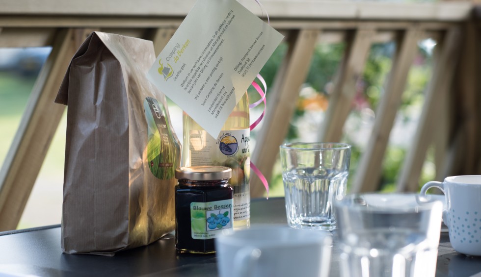 Chalet met frontkamer in Drenthe