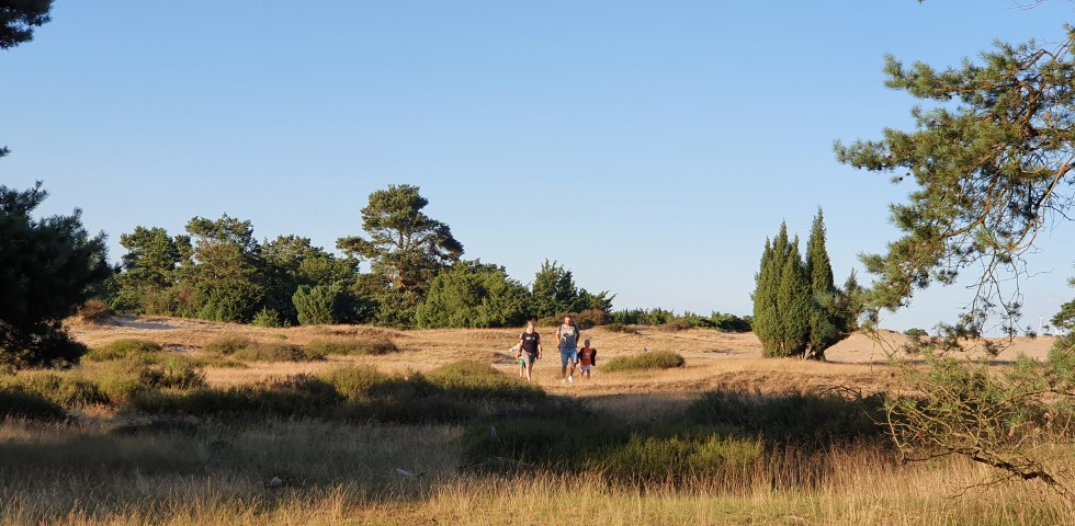 Drenthe Drouwenerzand.jpg