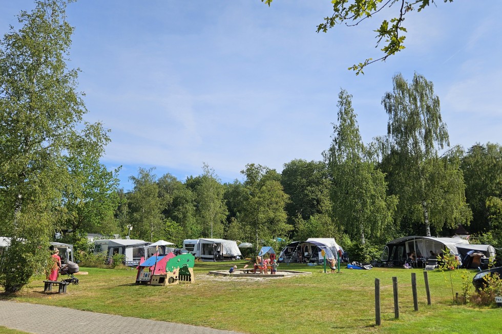 foto's veldje.jpg
