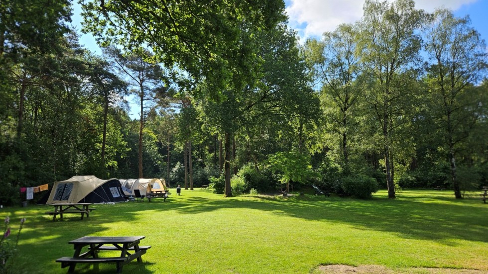 tentenveld banner camping de berken (Medium).jpg