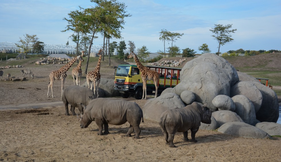 Wildlands truck savanne.jpg