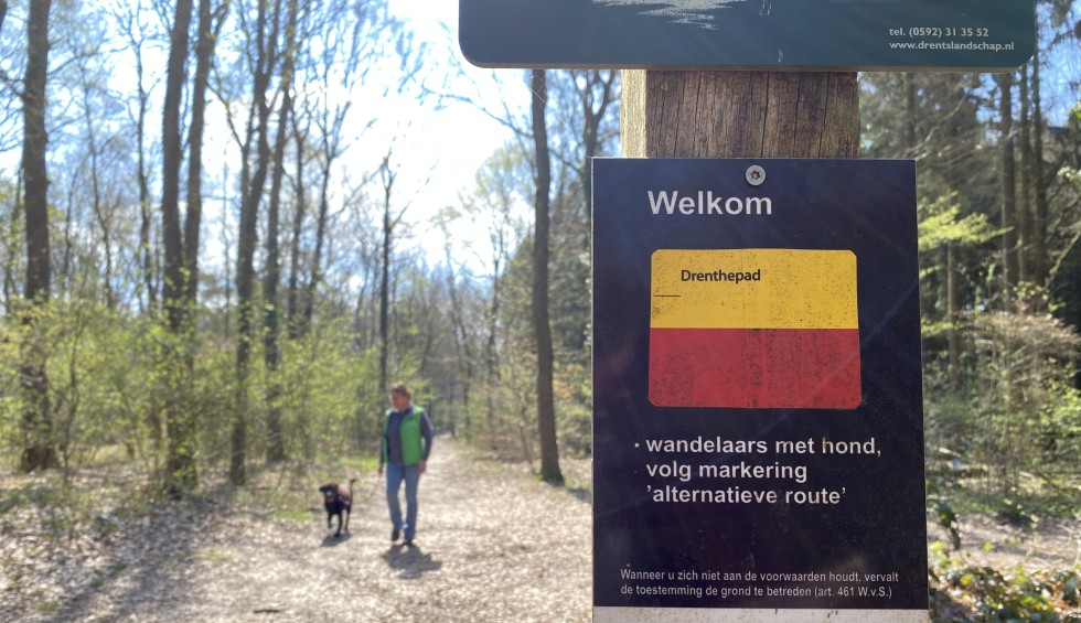 wandelen met de hond in het bos