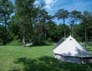 Autovrije tentenveld