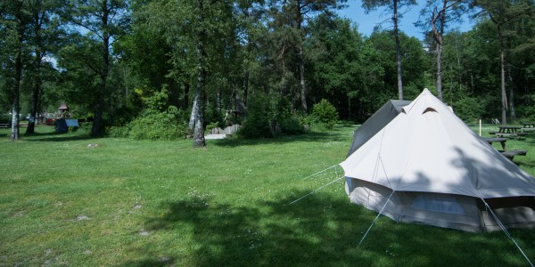 Autovrije tentenveld