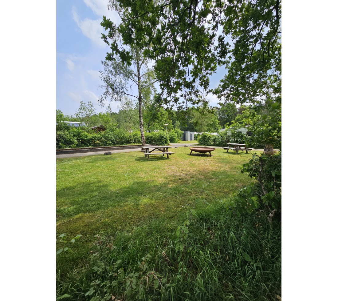 Speelveldje met vuurschaal camping de Berken.jpg