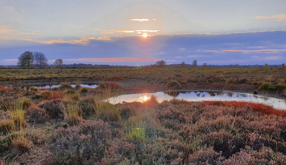 natuur-drenthe-zonsondergang.jpg
