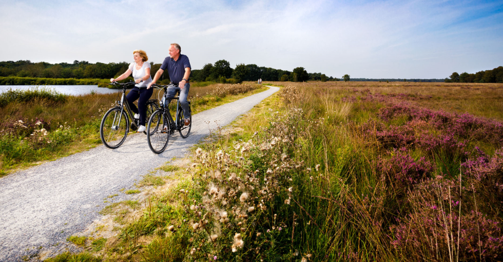 fietsen-wandelen-rustige-camping-drenthe.jpg