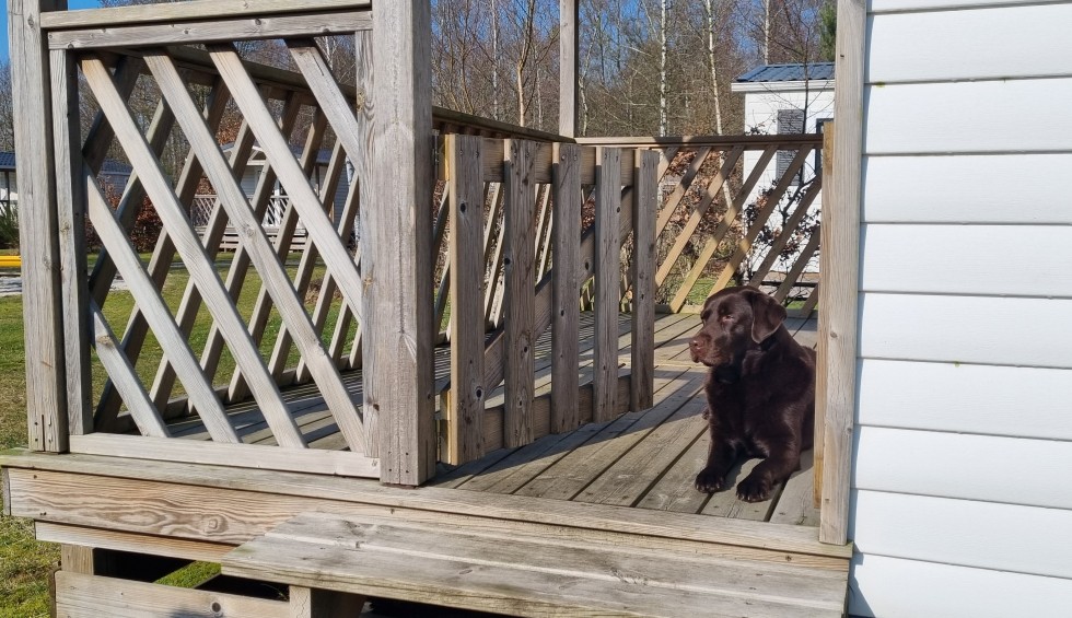 Chalet voor vier personen.jpg
