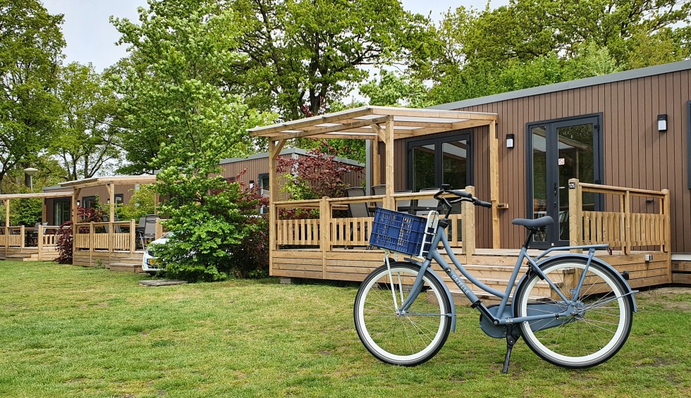 Fiets op de camping.jpg