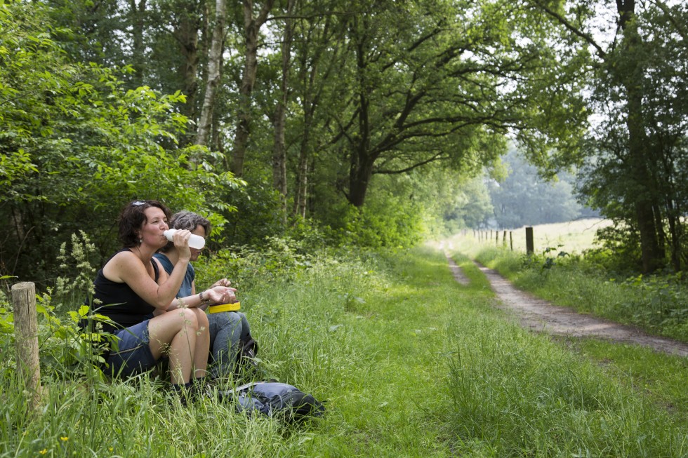 Nationaal Park Drentsche Aa - LAW lopers.jpg