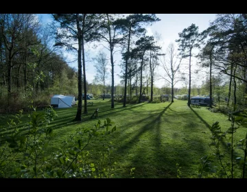 Tentenveld