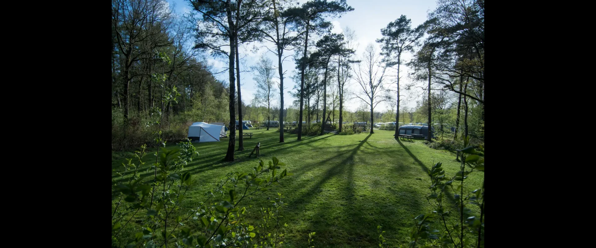 Tentenveld