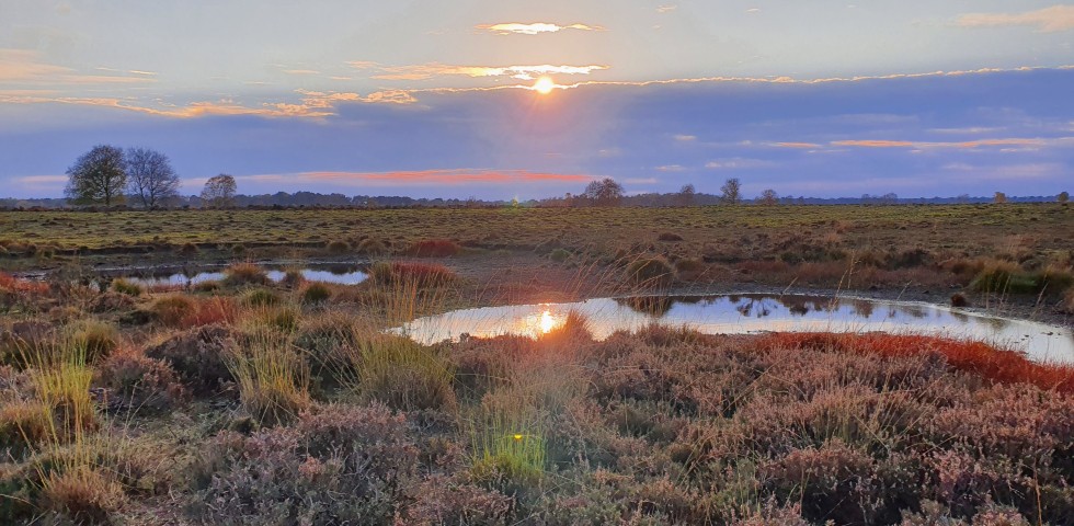 Ontdek de omgeving van natuurhuisje Drenthe.jpg